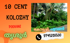 10 Cent Plot For Sale at Poovani, Kolozhy,thrissur